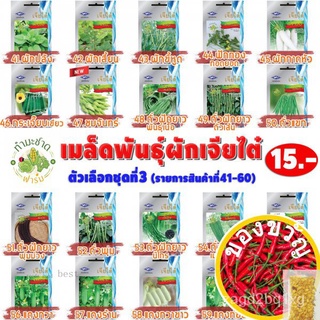 [10แถม2] เจียไต๋ เมล็ดพันธุ์ กวางตุ้งดอกต้นเขียว Edible rape ing Pak Choy (Dark Green Type) ประมาณ 3900 เมล็ด ตราเจี๋ยไต