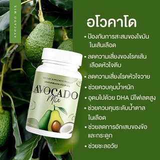 อโวคาโด (Avocado) D19