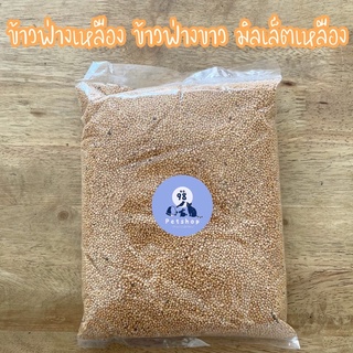 ข้าวฟ่างเหลือง ข้าวฟ่างขาว มิลเล็ตเหลือง อาหารนก 1 กก.