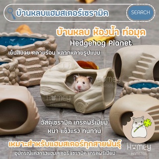 Homey Hamster บ้านหลบแฮมสเตอร์เซรามิค Hedgehog Planet ของแต่งกรงแฮมสเตอร์ ของเล่น กล่องขุด niteangel tafit millamore