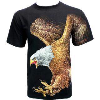 Rock Chang Eagle เสื้อยืด แขนสั้น ลายนกอินทรีย์ สำหรับผู้ชาย [สีดำ]