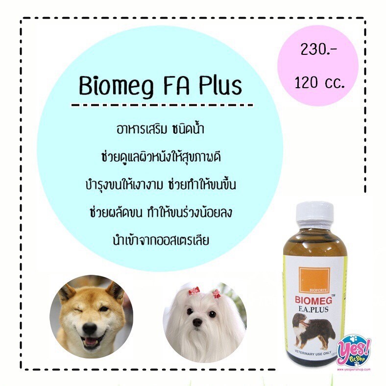 Biomeg อาหารเสริม วิตามิน บำรุงขน และรักษาโรคผิวหนัง สำหรับสัตว์เลี้ยง ชนิดน้ำ 120 cc