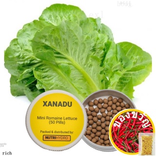 Xanadu by Enza Zaden  Mini-Romaine Lettuce Seeds50 seeds (not live plants)ManilaPurityWhiteRoseMixedLycopersiconChamomil