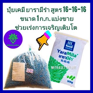 ปุ๋ยยาร่า  16-16-16  ปุ๋ยเร่งต้น แบ่งขาย  ขนาด 1 กิโลกรัม ใช้เร่งการเจริญเติบโต  เร่งต้น  ใช้ได้ในผัก  ไม้ดอกไม้ประดับ