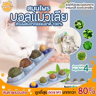 DOODEE🐱 เซ็ตแคทนิปบอล 3 ลูก พร้อมขนมแมว วิตามิน ของแมว ขนมแมวเลีย ลูกบอลแมวเลีย catnip หญ้าแมว ของเล่นแมว 🐱❤️