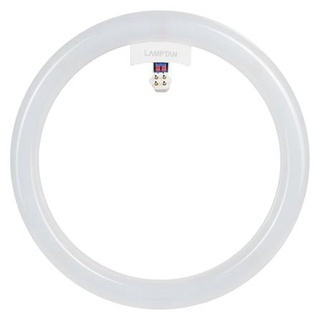 [พร้อมส่ง] HomeDoDee หลอด LED LAMTAN Module Circular 33 วัตต์ DAYLIGHT หลอดไฟ LED