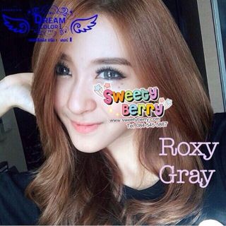 Dream Color Roxy Gray