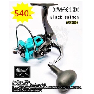 รอก IWACHI black salmon ลดราคาสุดพิเศษ