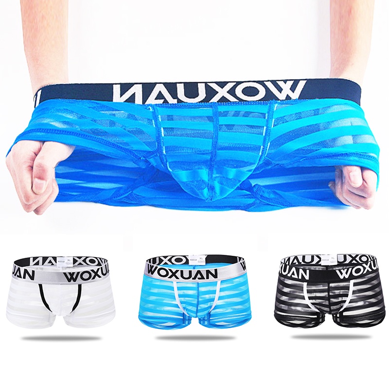 Hot Sexy Striped Men's Mesh Boxers Low Waist Ultra-thin Sexy Breathable Mens Underwear Panties