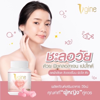 วีจิเน่Vgine สมุนไพรบำรุงฟื้นฟูภายในผู้หญิงโดยเฉพาะ➖การันตีลูกค้าสั่งซ้ำ100%ของแท้รายใหญ่รับตรงจากบริษัท