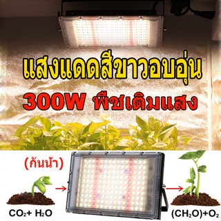 ไฟเร่งการเจริญเติบโตของสเปกตรัมเต็ม Samsung 300W LED ไฟปลูกพืช IR UV สเปกตรัมเต็มสเปกตรัม Phytolamp สูง PPFD สําหรับเมล็ดพันธุ์พืชในร่ม สําหรับเมล็ดพืชไฮโดรโปนิกส์