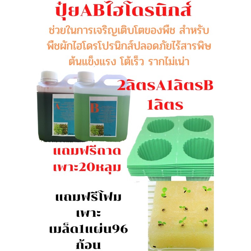 ปุ๋ย ab ไฮโดรโปนิกส์ a 1 ลิตร b 1 ลิตรแถมโฟม 96 หลุ่มและถาดเพาะ 20 หลุ่ม