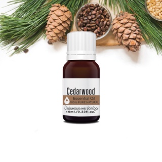 ซีดาร์วูด เอสเซ็นเชียล ออยล์ นํ้ามันหอมระเหย บริสุทธิ์100% ขนาด 10กรัม Cedarwood Essential Oil