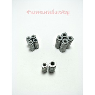 พุกตะกั่ว ปุ๊กตะกั่ว 1/4", 5/16" Fastenic 5ตัว