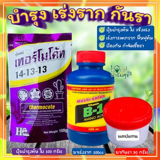 เซ็ตปุ๋ยบำรุง+เร่งราก+กันรา🍂 ปุ๋ยเทอร์โมโค้ท+น้ำยาเร่งรากB1+ +แคปแทนกันรา ปุ๋ยบอนสี ปุ๋ยกุหลาบ ปุ๋ยแคตตัส พืชทุกชนิด