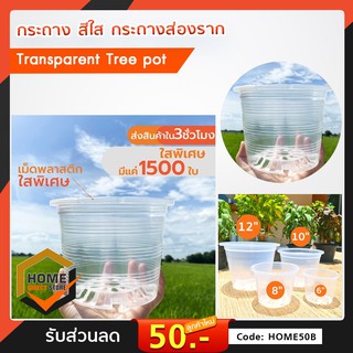 กระถางใส  กระถางส่องราก Transparent Tree pot