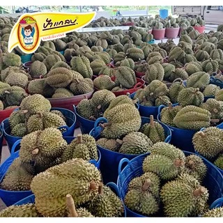 ทุเรียนทอด นน. 500g (ชิ้นเล็ก) เกรด C ตราป้าแกลบ ของดีเมืองจันท์