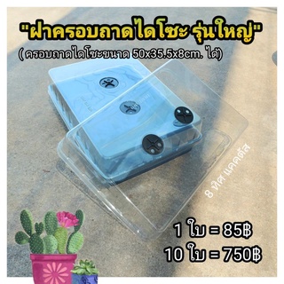 ฝาครอบถาดไดโซะ รุ่นใหญ่ // กด 10 ใบ 750฿--ฝาอบ ฝามีวาว ฝาครอบถาด เพาะเมล็ด แคคตัส กระบองเพชร