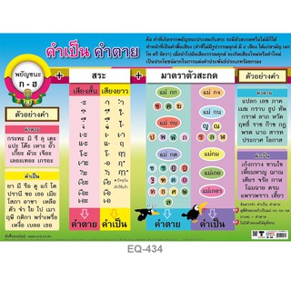 โปสเตอร์คำเป็นคำตาย โปสเตอร์กระดาษ #EQ-434 โปสเตอร์สื่อการเรียนการสอน