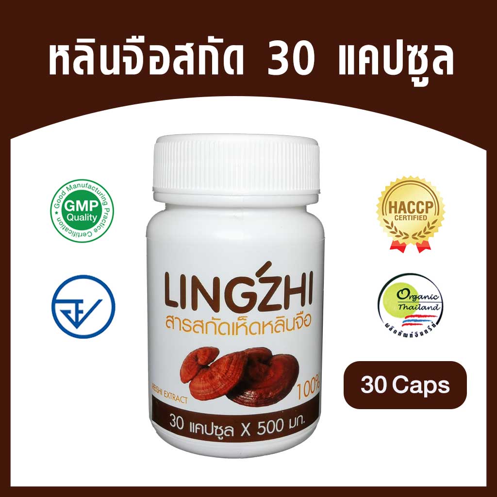 PHYTO GOLD สารสกัดเห็ดหลินจือผสมถั่งเช่า  30 แคปซูล