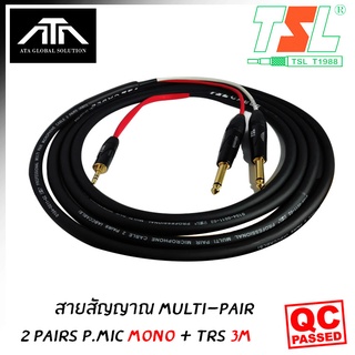 สายสัญญาณ Multi-Pair 2 Pairs P.MIC MONO + TRS 3M สายสัญญาณ หรืออุปกรณ์เชื่อมต่อสัญญาณ เชื่อมต่ออุปกรณ์นำสัญญาณไฟฟ้าระบบอ