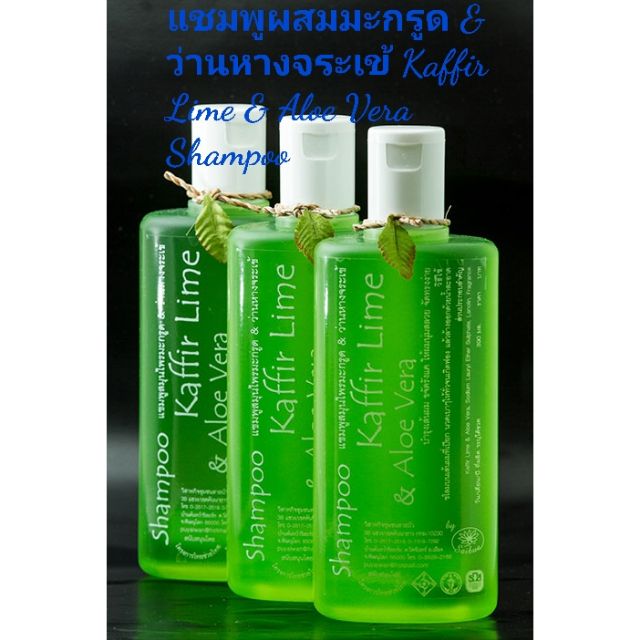 แชมพูผสมมะกรูด & ว่านหางจระเข้ Kaffir Lime & Aloe Vera Shampoo
