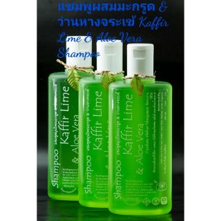 แชมพูผสมมะกรูด &amp; ว่านหางจระเข้ Kaffir Lime &amp; Aloe Vera Shampoo