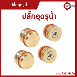 ปลั๊กอุดรูน้ำ Cooling Circuit Plugs ที่อุดรูน้ำ อะไหล่แม่พิมพ์ ปล๊กอุดรูน้ำ ปลั๊กอุดรูน้ำสีทอง