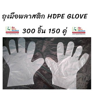 ถุงมือพลาสติก HDPE GLOVE  จำนวน 300 ชิ้น