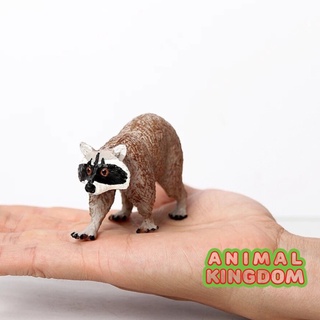 Animal Kingdom - โมเดลสัตว์ แร๊กคูน ขนาด 9.00 CM (จากหาดใหญ่)