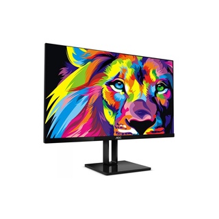 LCD MONITOR -  24V2Q