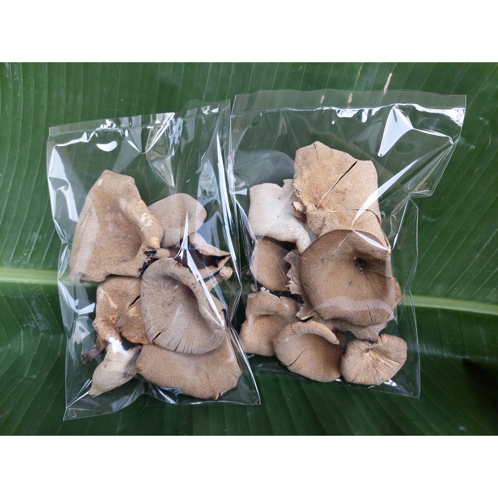 เห็ดลมแห้ง ขนาด 50 กรัม - รูปที่ 2