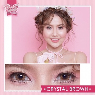 🍮Mini Crystal Brown🍮สายตาปกติ,-2.25,-3.25 (kitty kawaii)