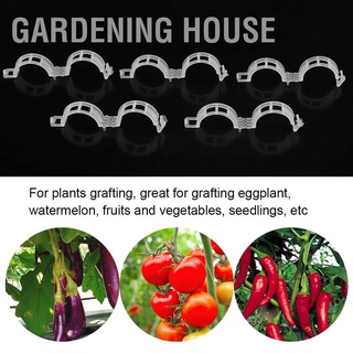 Gardening House อุปกรณ์คลิปหนีบเถา สําหรับแตงโมปลอดภัย