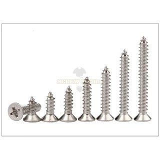 น็อต สกรู หัวเตเปอร์ แฉก F+ สแตนเลส 304 เกลียวปล่อย M4 / Flat Head Phillip Tapping Screw SUS304 M4