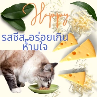 Lysine ไลซีน เเมวเลีย รสชีสเเสนอร่อย ปริมาณไลซีนสูงมาก กระตุ้นภูมิ ป้องกันหวัด,ไอ,จาม เยื่อบุตาอักเสบ(V M D)