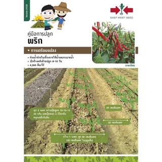 GGEW เมล็ดพันธุ์ พริกหนุ่มขาวลูกผสม หยกขาว F1 150เมล็ด ตราศรแดง