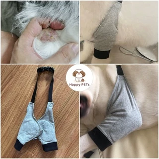 Happy PETs สนับศอกสุนัข สนับเข่าสุนัข ป้องกันศอกด้าน รองศอก ป้องการการเสียดสีกับพื้น DogLemi