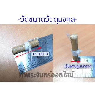 ตะกรุด ปลอกตะกรุดสแตนเลสพร้อมหลอดอะคริลิคใส แบบแขวนคู่ แนวนอน 2 ห่วง เบอร์ 7-16 หลอดตะกรุดยาว 7 Cm.