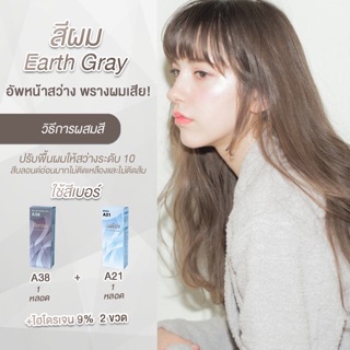 Berina สีเบอริน่า Earth Gray A38+A21