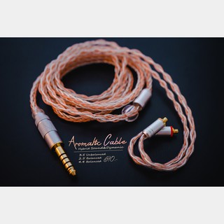 Aromatic Hybrid Cable MMCX สายคำหวาน อัพเกรดหูฟัง เสียงอิ่มหวาน รายละเอียด