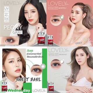 🔥โค้ด DET50MAY ลด50% 🔥 � MYPINK สีเทา Bigeyes Gray Lovely Plus Contact Lens