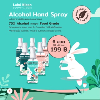 Pack 6 ขวด Hand Spray แอลกอฮอล์ 75% กลิ่นหอมมิ้นท์ พรีเมียม ฟู๊ดเกรด Premium Food grade labu klean