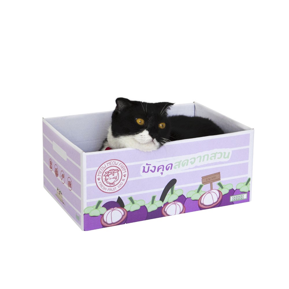 KAFBO Cat box - กล่องมังคุด กล่องลังแมว บ้านแมว ที่ลับเล็บแมว ที่ฝนเล็บแมว