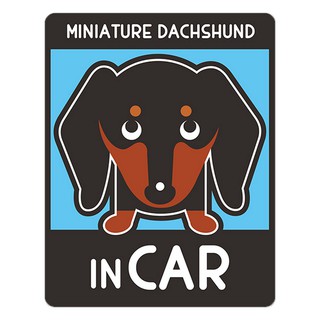 BOA387 สติกเกอร์ติดรถ Dachshund in car สติ๊กเกอร์ติดรถสวยๆ Sticker