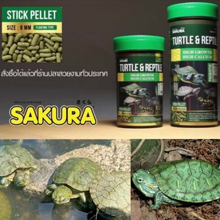 Sakura อาหารเต่า Turtle &amp; Reptile สูตรโปรตีนสูง เร่งโต กระดองใหญ่ เม็ดลอย ขนาด 50g/80g