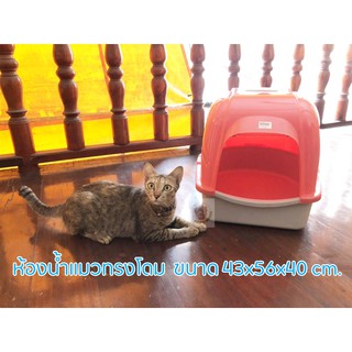 ห้องน้ำแมวแบบโดม ถาดรองฉี่แมว ห้องน้ำแมวทรงโดม Cat Toilet Dome style cat toilet ขนาด 43x56x40 cm.