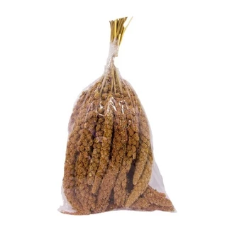 [500g.] มิลเลตสเปรย์แดง อาหารนก อาหารสัตว์เลี้ยง สำหรับ นก นกแก้ว หงส์หยก เลิฟเบิร์ด ค็อกคาเทล ฟอพัส หนูแฮมเตอร์ ฟันแทะ