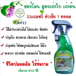 ช่องาม ฮอร์โมน สูตร เร่งใบ เร่งต้น ต้นสมบูรณ์ บอนสี ขวดสเปรย์ ขนาด 500 ซีซี 🍀🌿🌳 ออร์แกนิค  แถมฟรี หัวเชื้อ 1 ขวด