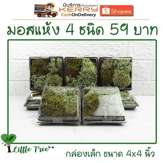 มอสแห้งกล่องเล็ก บรรจุ 4 ชนิด ขนาดและปริมาณของสินค้าตามที่ระบุไว้ อ่านก่อนสั่งซื้อ